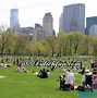 Địa Điểm Đẹp Ở New York