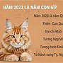 Tết Năm 2023 Là Tuổi Con Gì